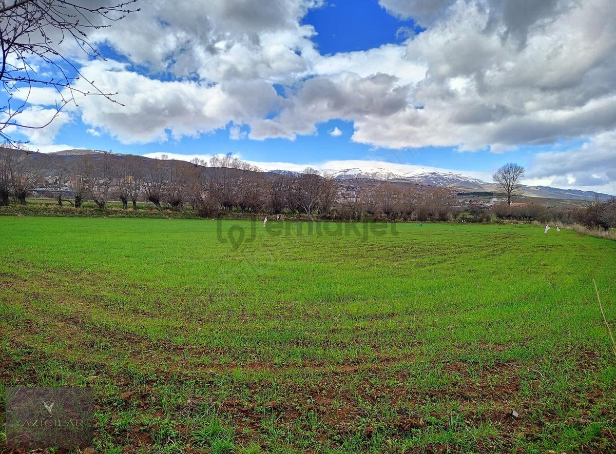 Suşehri Kemalpaşada 10.603 M² Yatırımlık Tarla - 6