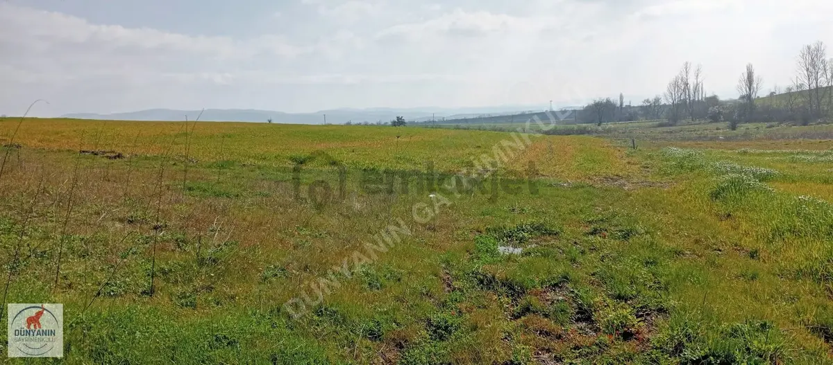 Çanakkale Biga Doğancı Köyünde 2921m2 Satılık Tarla