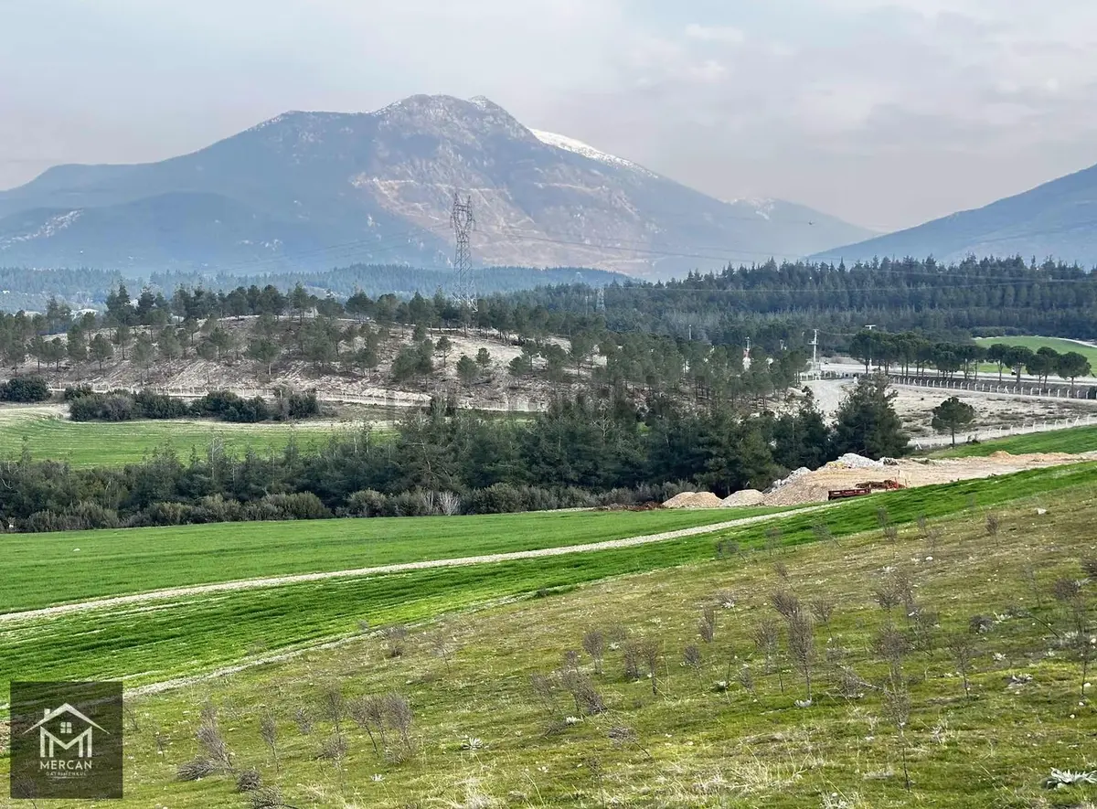 Mercan'dan Karakurt Mevki 20.000 M2 Özel İmarlı Tarla ! - 13