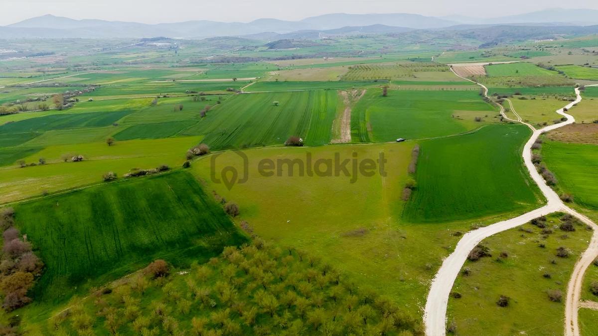 Altıeylül Pamukçu'da Satılık Tarla - 5
