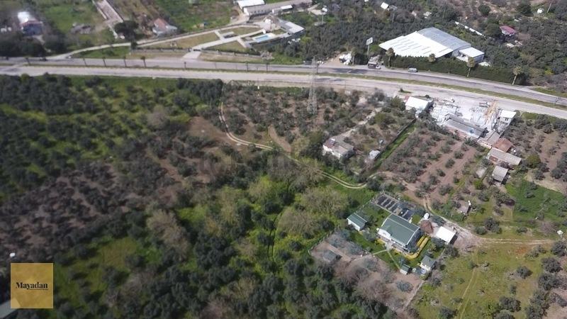 Mayadan Gyo Erdek Yalı'da Satılık Zeytinlik - 21