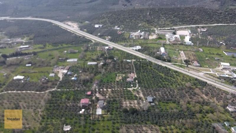 Mayadan Gyo Erdek Yalı'da Satılık Zeytinlik - 10