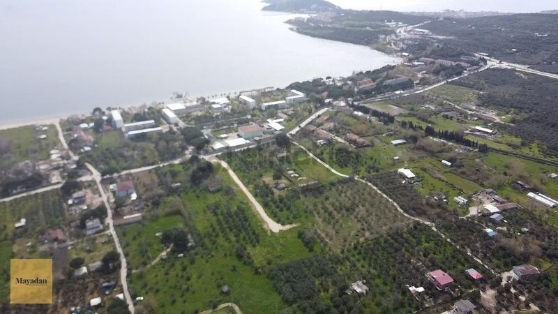 Mayadan Gyo Erdek Yalı'da Satılık Zeytinlik - 16