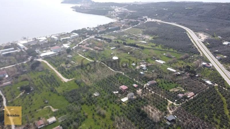 Mayadan Gyo Erdek Yalı'da Satılık Zeytinlik - 11