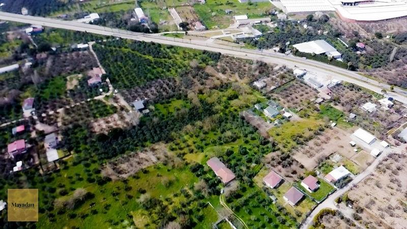 Mayadan Gyo Erdek Yalı'da Satılık Zeytinlik - 15