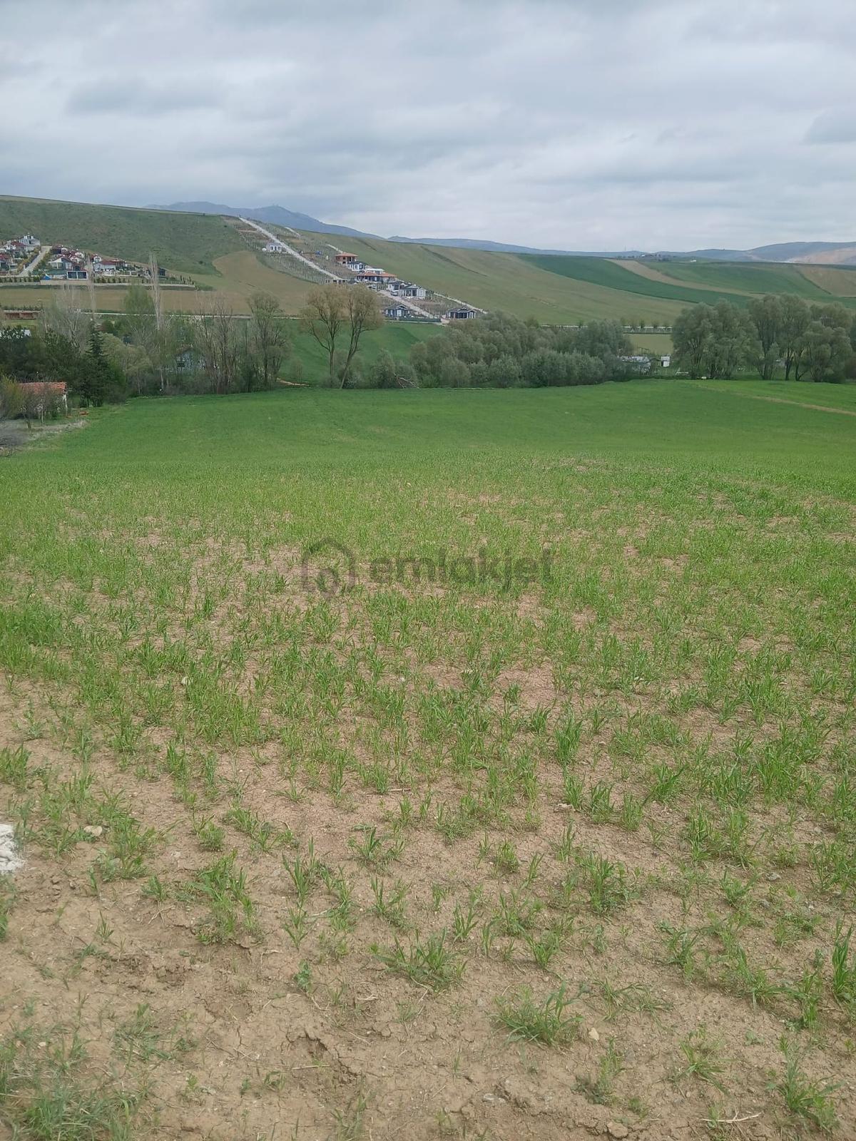 Sahibinden Sirkeli Karşıyaka'da - 2