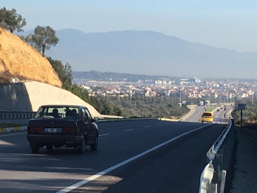 Satılık Zeytinlik - 21