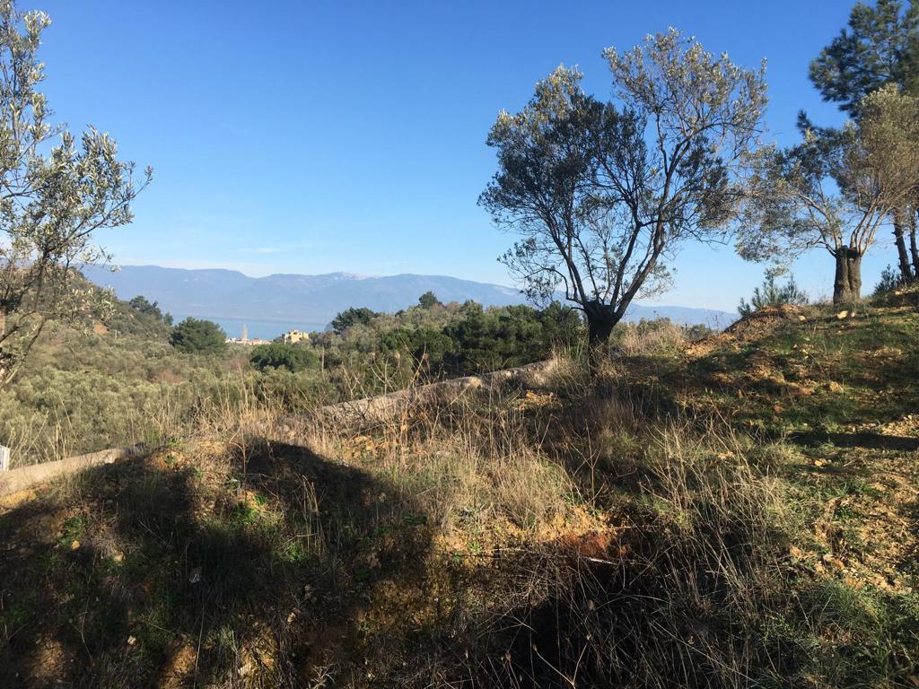 Satılık Zeytinlik - 31