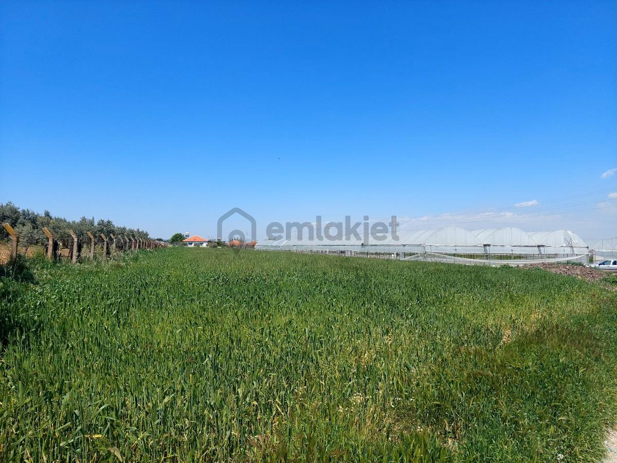 Menderes Develide Satılık Çiflik - 13