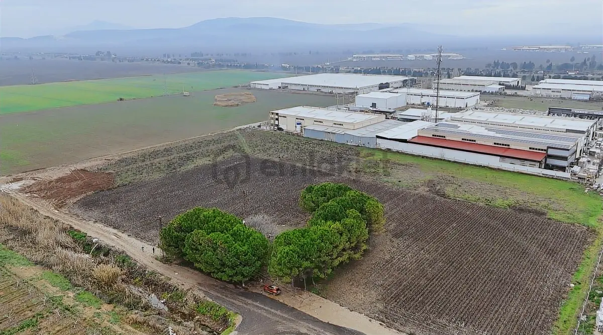 Torbalı Pancarda Depo İmarlı 11804 M' Satılık Arsa - 7