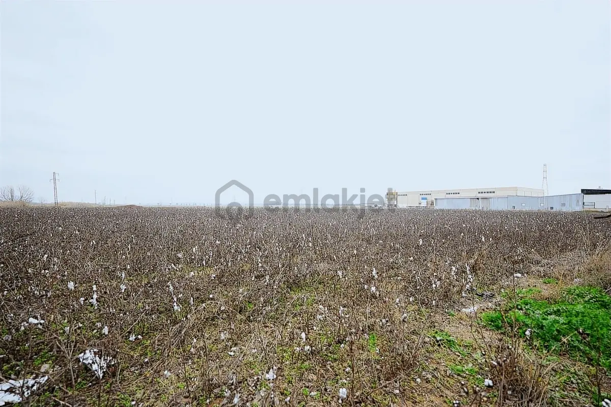 Torbalı Pancarda Depo İmarlı 11804 M' Satılık Arsa - 30