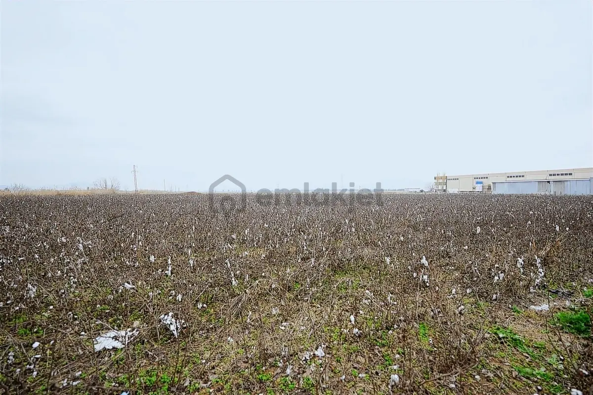 Torbalı Pancarda Depo İmarlı 11804 M' Satılık Arsa - 33