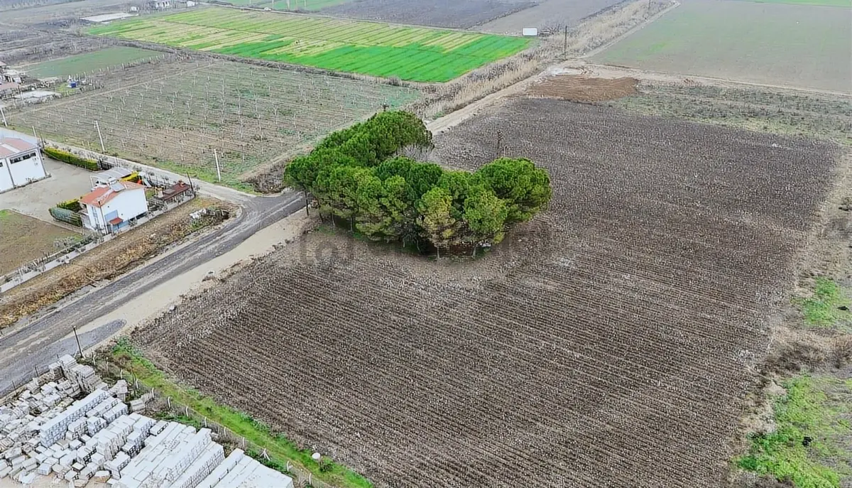 Torbalı Pancarda Depo İmarlı 11804 M' Satılık Arsa - 27