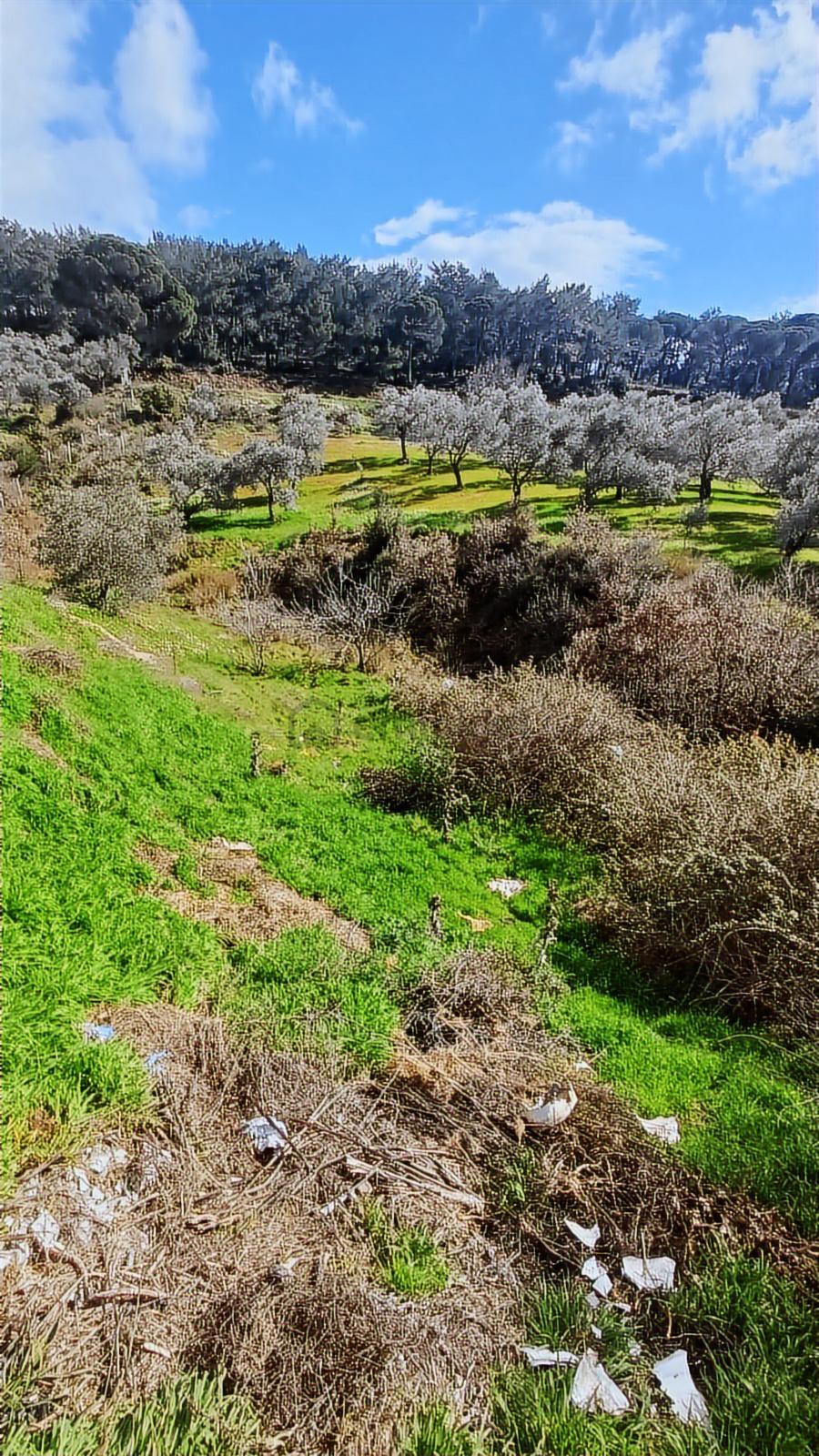 Fırsat Satılık Arsa 2 Kat İmarlı 401 M² - 7