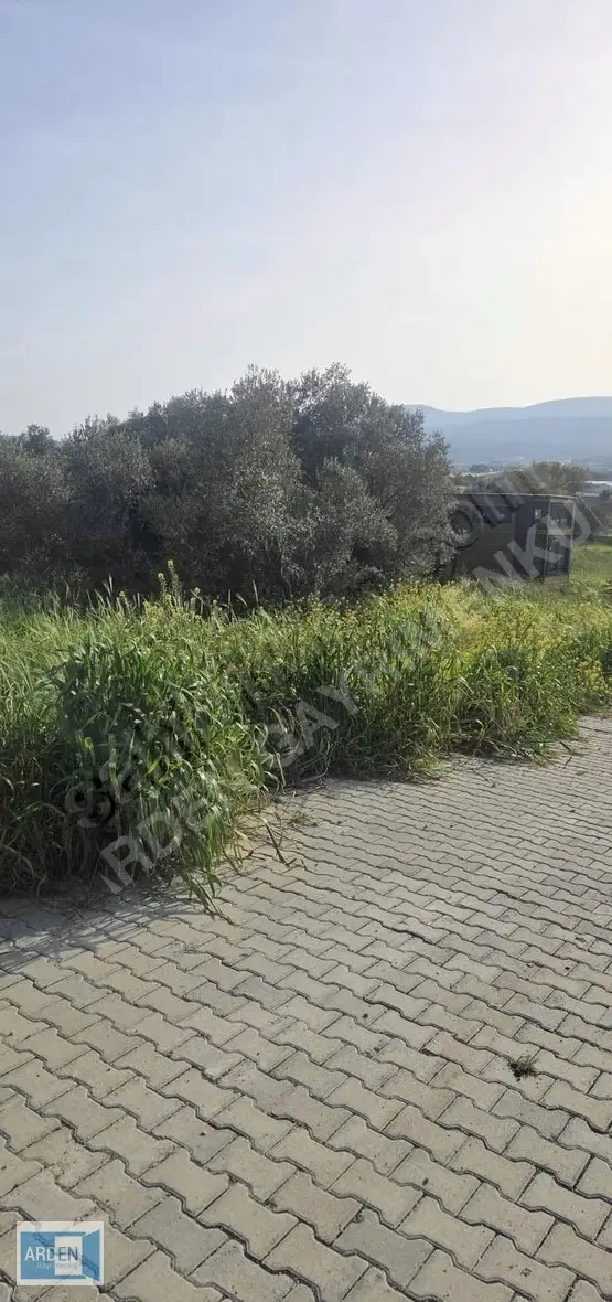 Urla Camiatik'te Satılık Tiny House Arsası (298m²) - 5