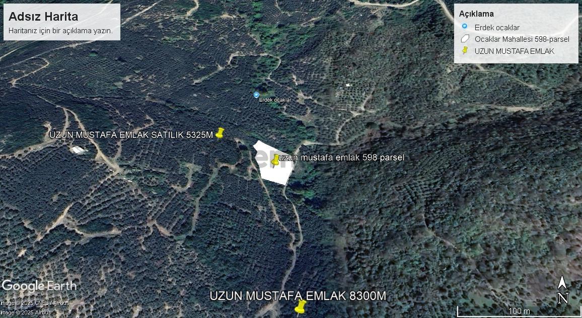 Erdek Ocaklar Da Satılık Zeytinlik - 4