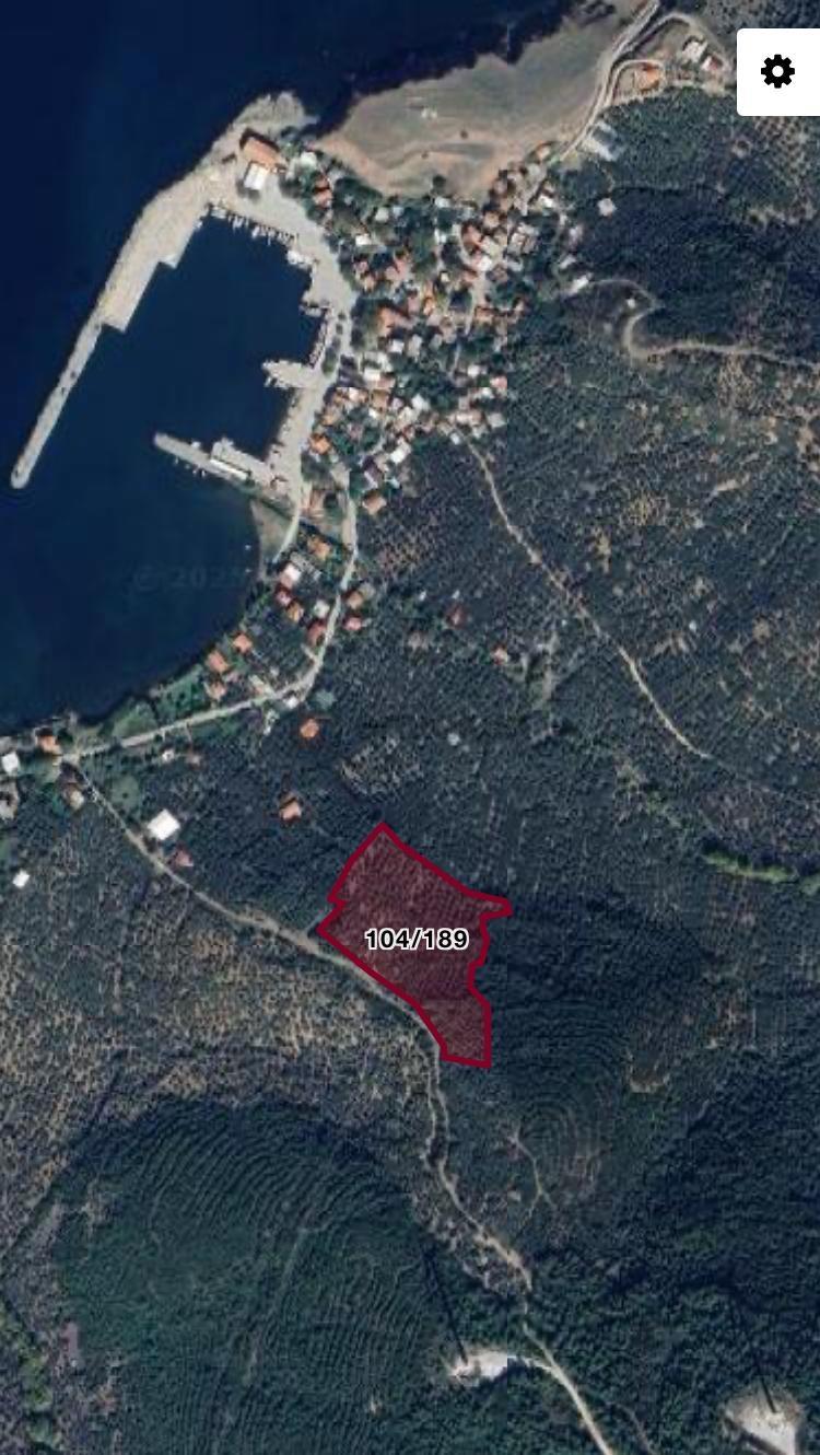 Erdek İlhanlar Da Deniz Manzaralı Satılık Zeytinlik - 3