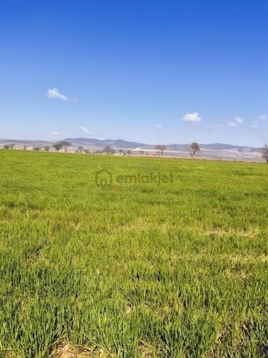 Banaza 5 Km Susuzda 15500m2 Suyu Olan Düz Tarla - 8