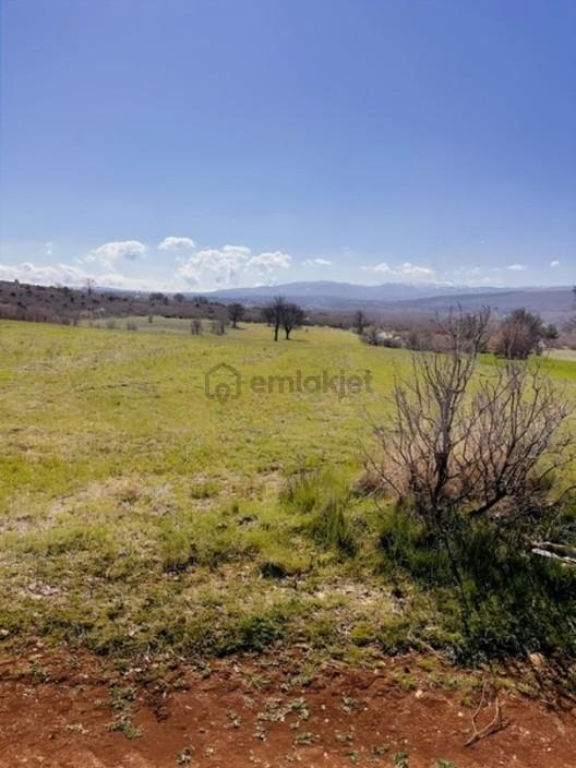 Banaza 5 Km Susuzda 15500m2 Suyu Olan Düz Tarla - 6
