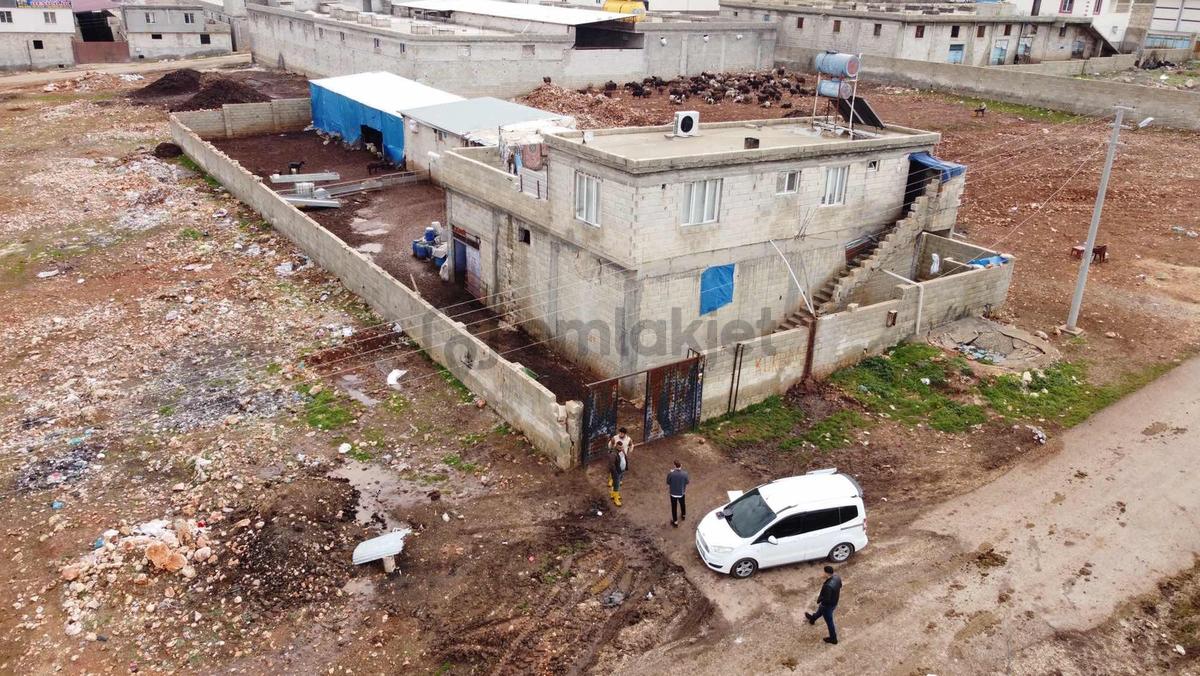 Barondan Çaybaşı Satılık Çiftlik - 9
