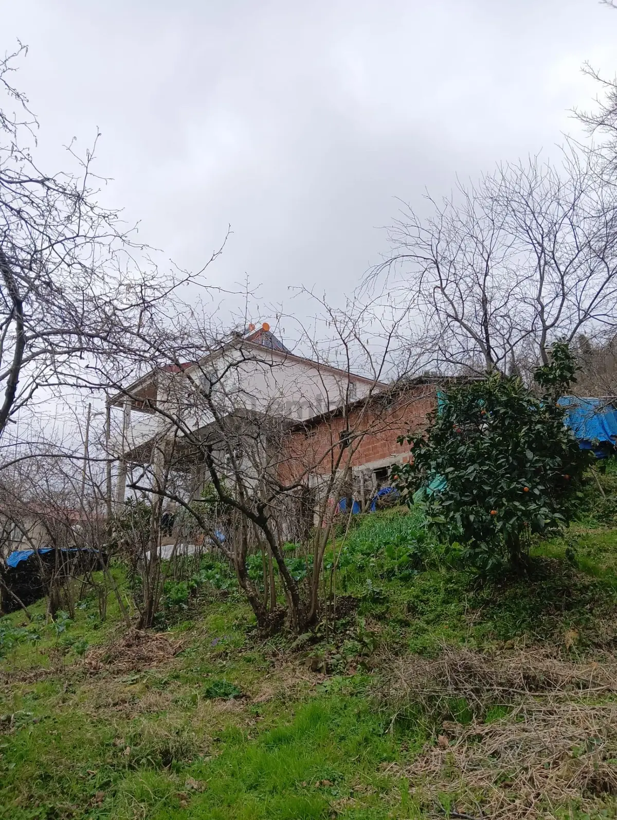 Wisrem'den Eynesil'de Eşsiz Deniz Manzaralı Satılık Müstakil Ev - 36