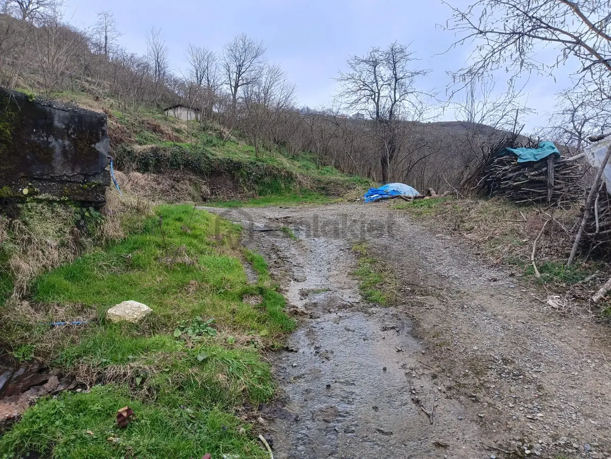 Wisrem'den Eynesil'de Eşsiz Deniz Manzaralı Satılık Müstakil Ev - 43