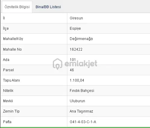 Wisrem'den Espiye Uluburunda Mükemmel Konumda Satılık Fındık Bahçesi - 46