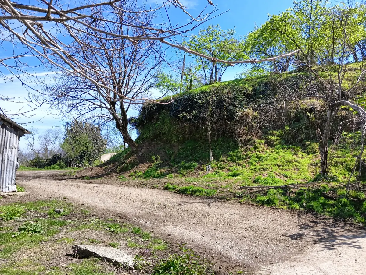 Wisrem'den Espiye Uluburunda Mükemmel Konumda Satılık Fındık Bahçesi - 15