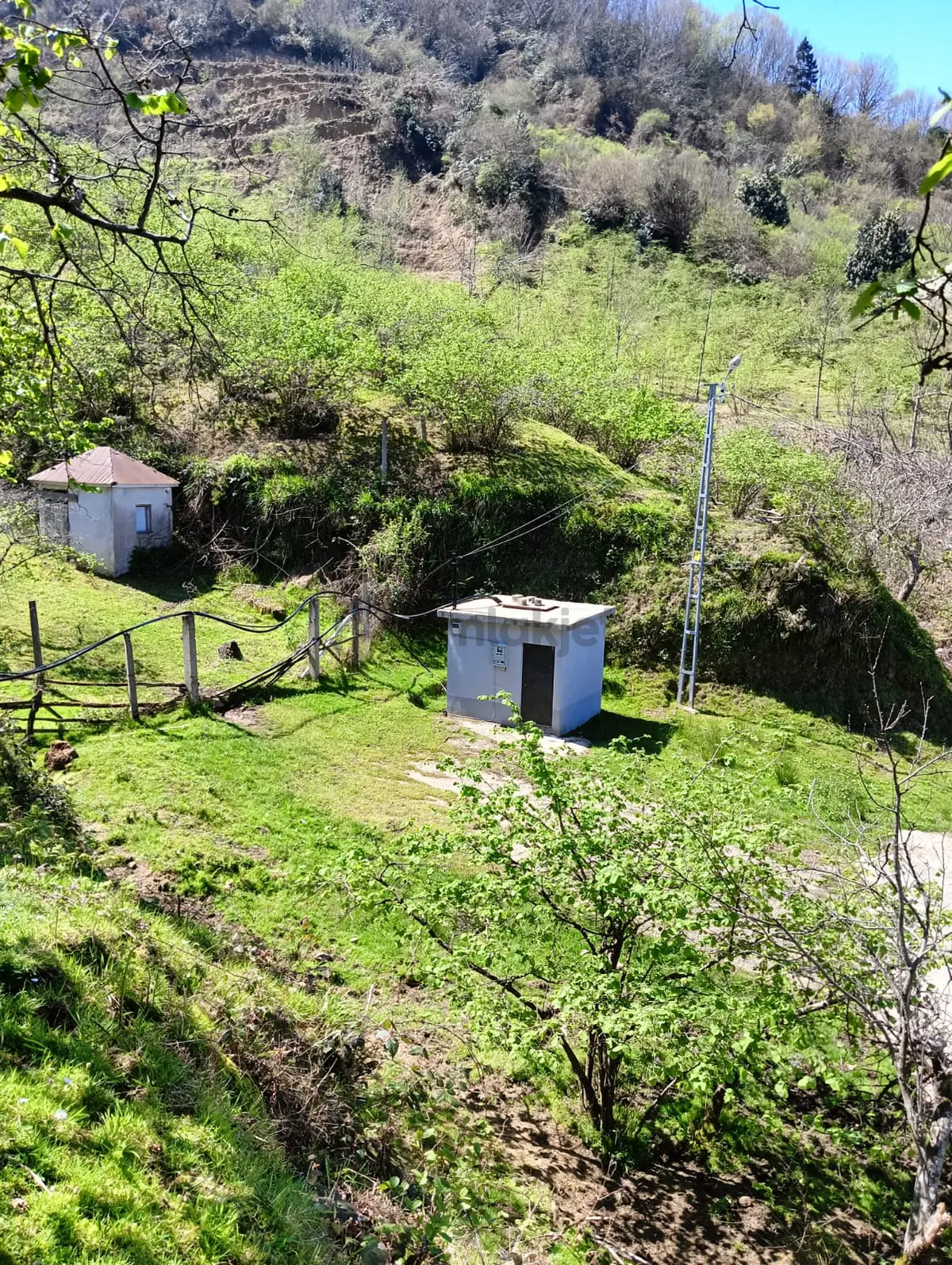Wisrem'den Espiye Uluburunda Mükemmel Konumda Satılık Fındık Bahçesi - 11