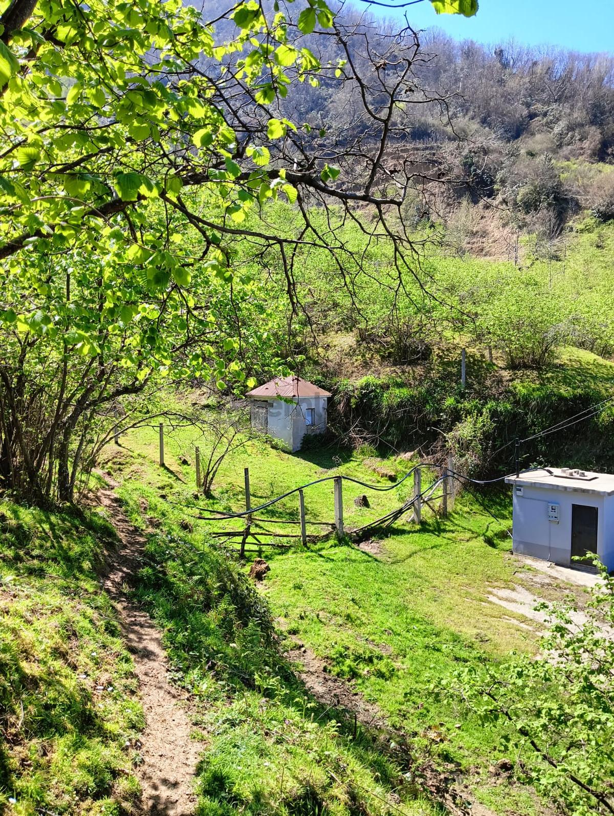 Wisrem'den Uluburunda Muhteşem Manzaralı Fındık Bahçesi - 20