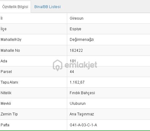 Wisrem'den Uluburunda Muhteşem Manzaralı Fındık Bahçesi - 43
