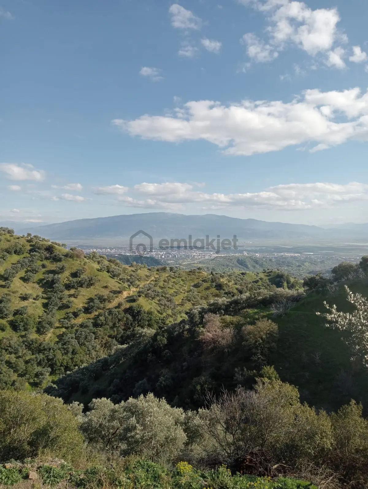 Yaylapınar 2500 M2 Satılık Bahçe - 3