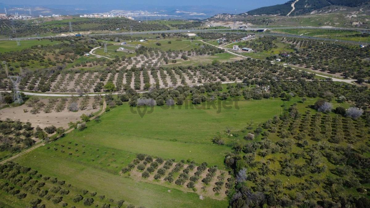 Samurluda 10500m2 Satılık Yolu Olan Tarla - 14