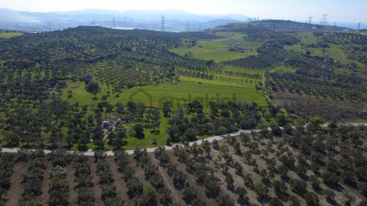 Samurluda 10500m2 Satılık Yolu Olan Tarla - 3