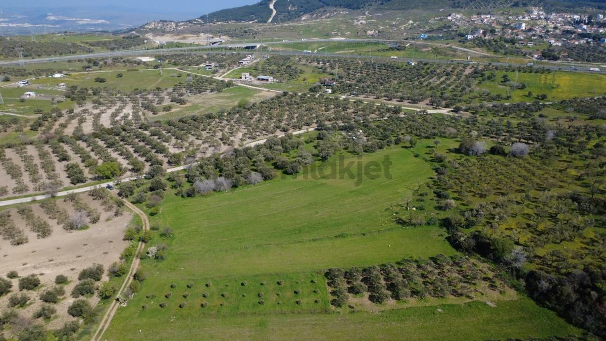 Samurluda 10500m2 Satılık Yolu Olan Tarla - 13