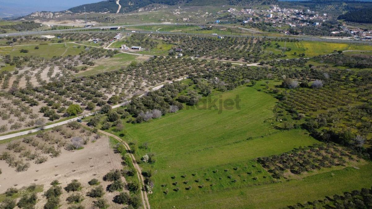 Samurluda 10500m2 Satılık Yolu Olan Tarla - 12
