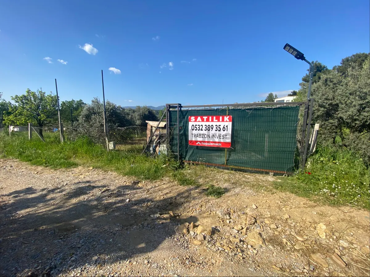 İzmir Torbalı Yazıbaşında Satılık Bahçe - 7