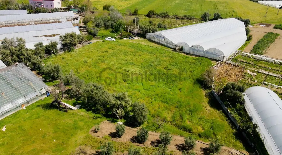 Hurmadibi Mevkii 4 Tapu Toplam 1800 Mt2 - 13