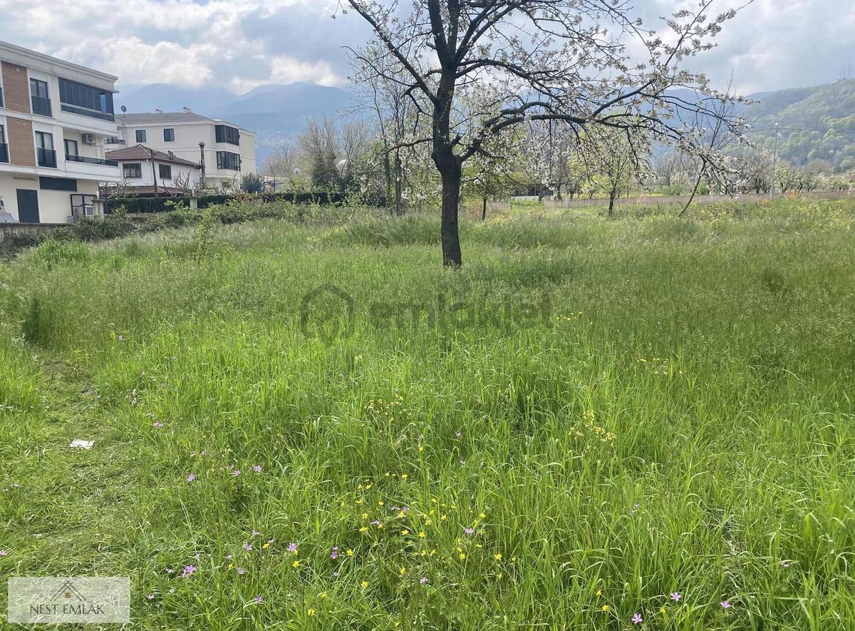 608 M2 İmarlı Arsa - 2