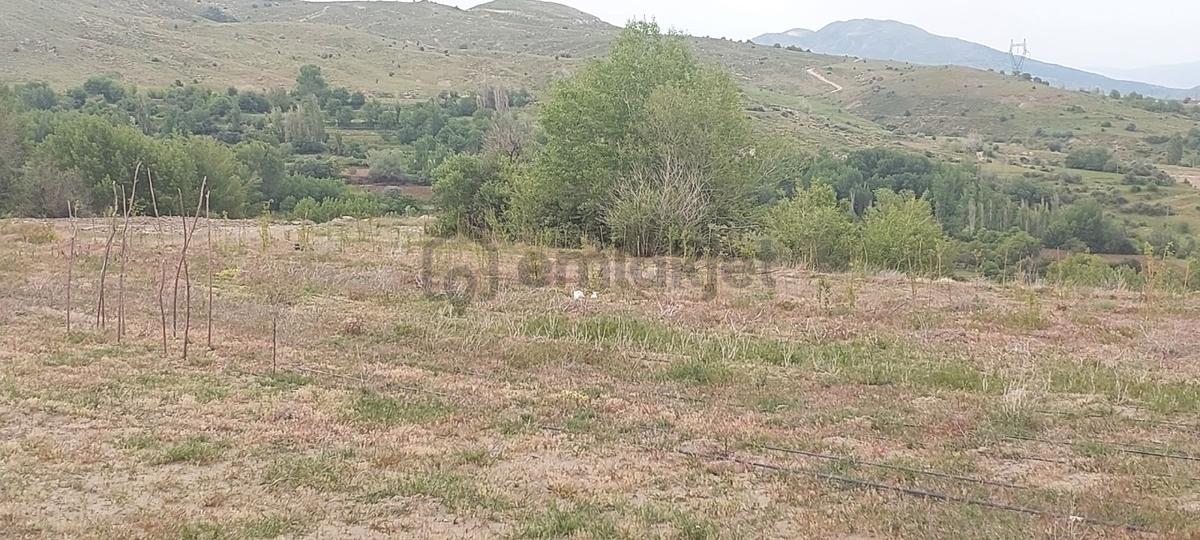 Doğanşehir Fındık Mah. Satılık 6.100m2 Tarla - 19