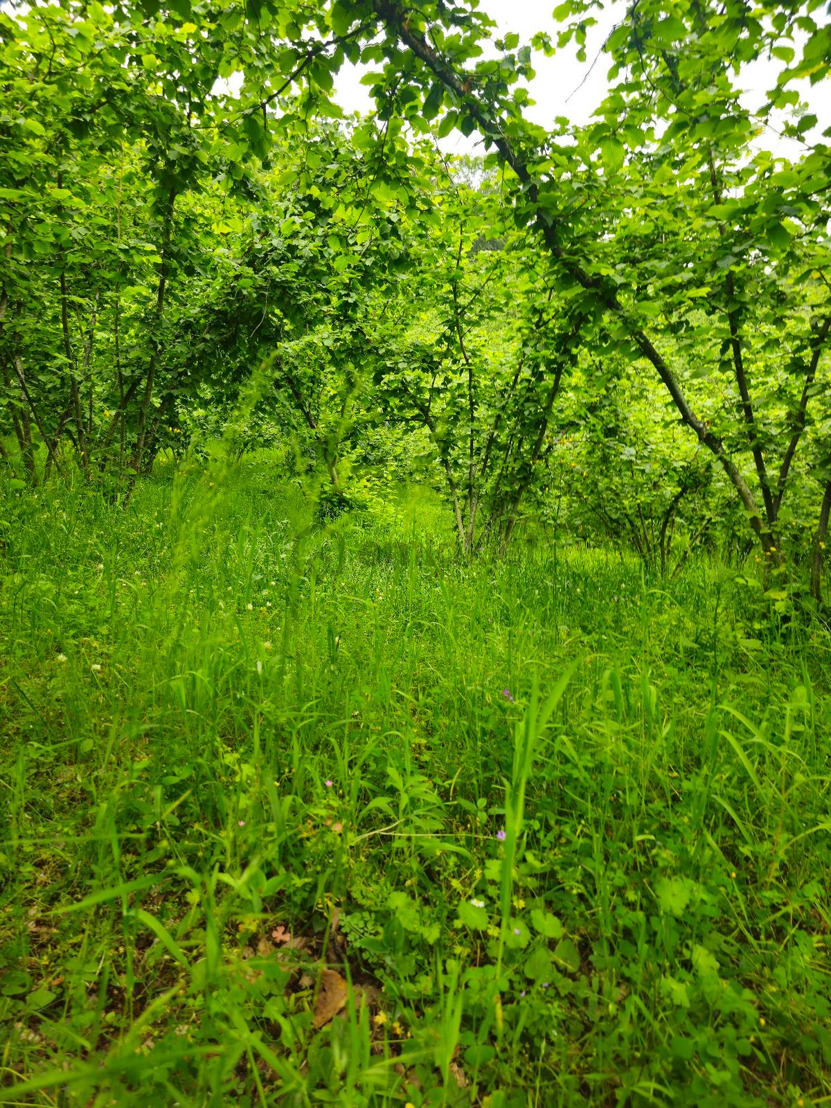 Sahibinden Satilik - 2