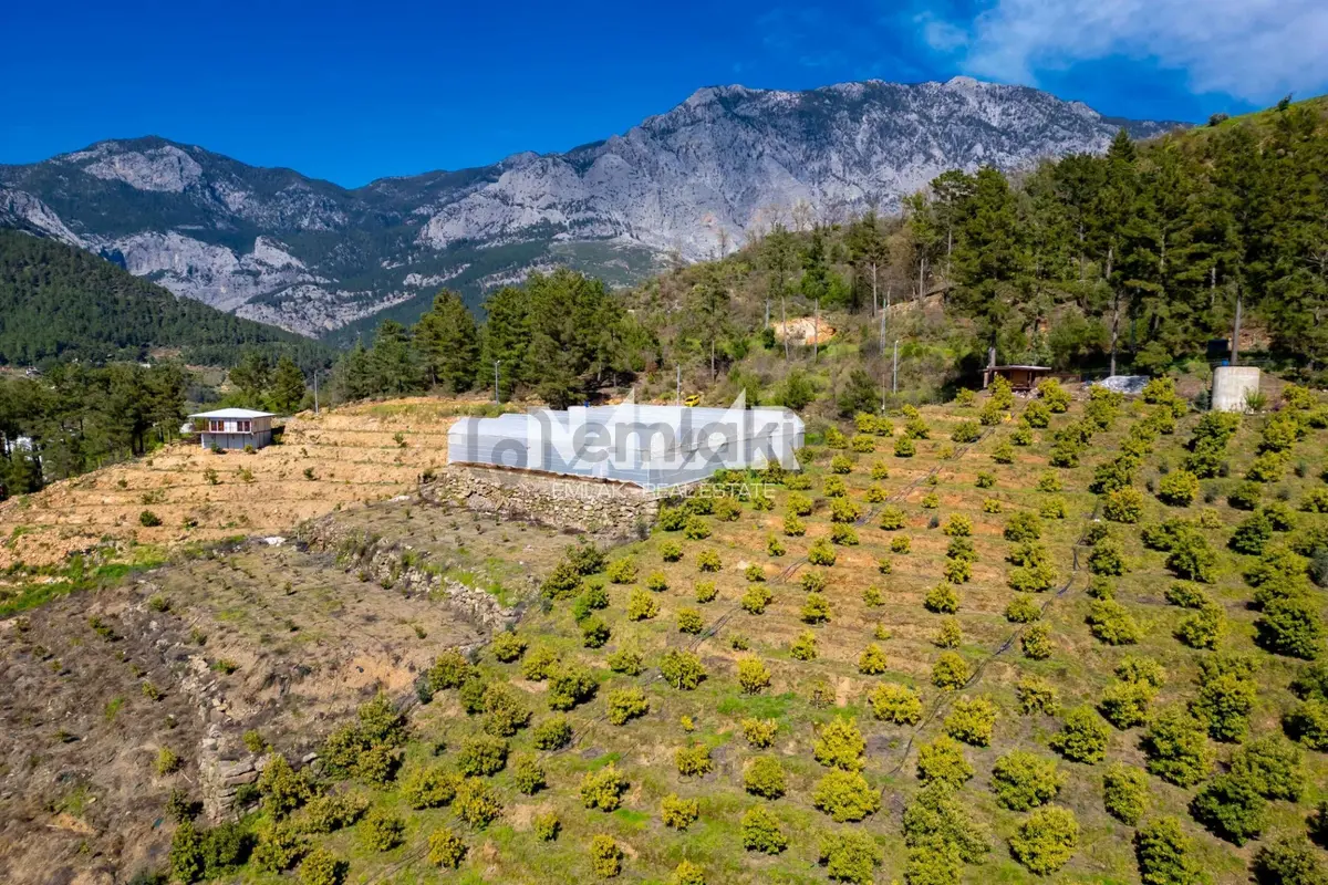 Alanya Sapadere’de 1.813 M² Satılık Tarla - 7