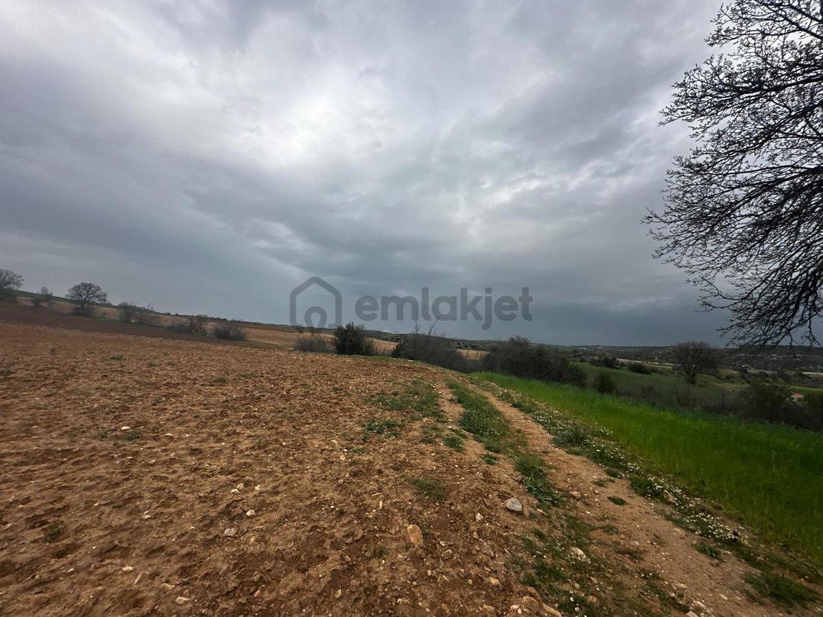 Uşak Eşme Kayalı Köyünde Satılık Tarla - 22