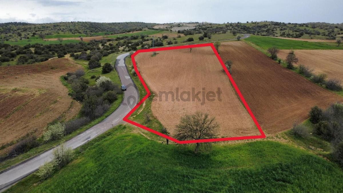 Uşak Eşme Kayalı Köyünde Satılık Tarla - 11