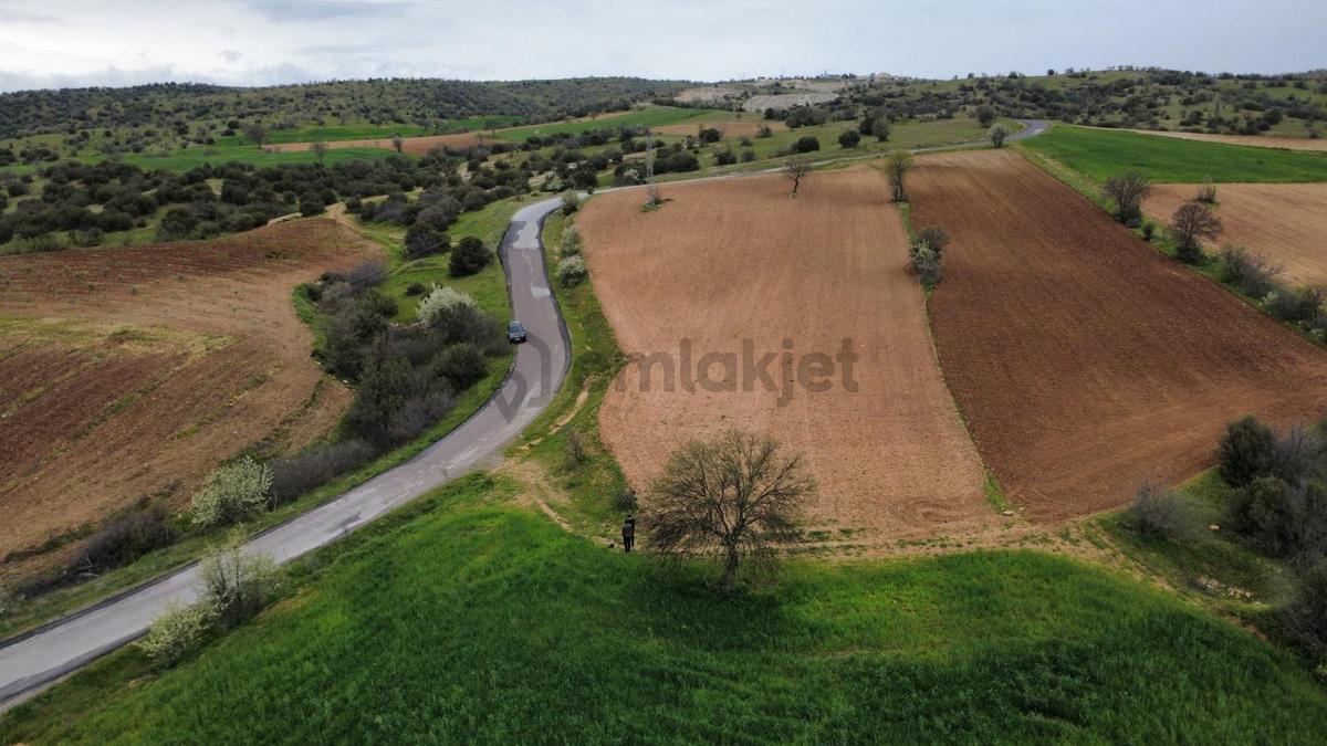 Uşak Eşme Kayalı Köyünde Satılık Tarla - 9