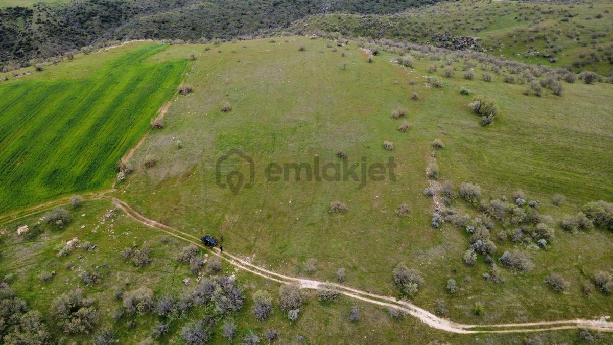 Uşak Eşme Kayalı Köyünde Satılık Tarla - 20