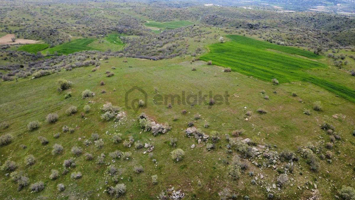 Uşak Eşme Kayalı Köyünde Satılık Tarla - 26