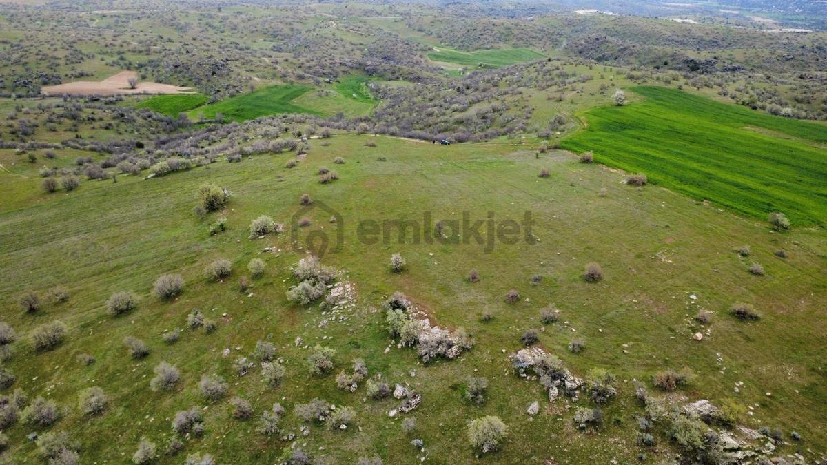 Uşak Eşme Kayalı Köyünde Satılık Tarla - 3