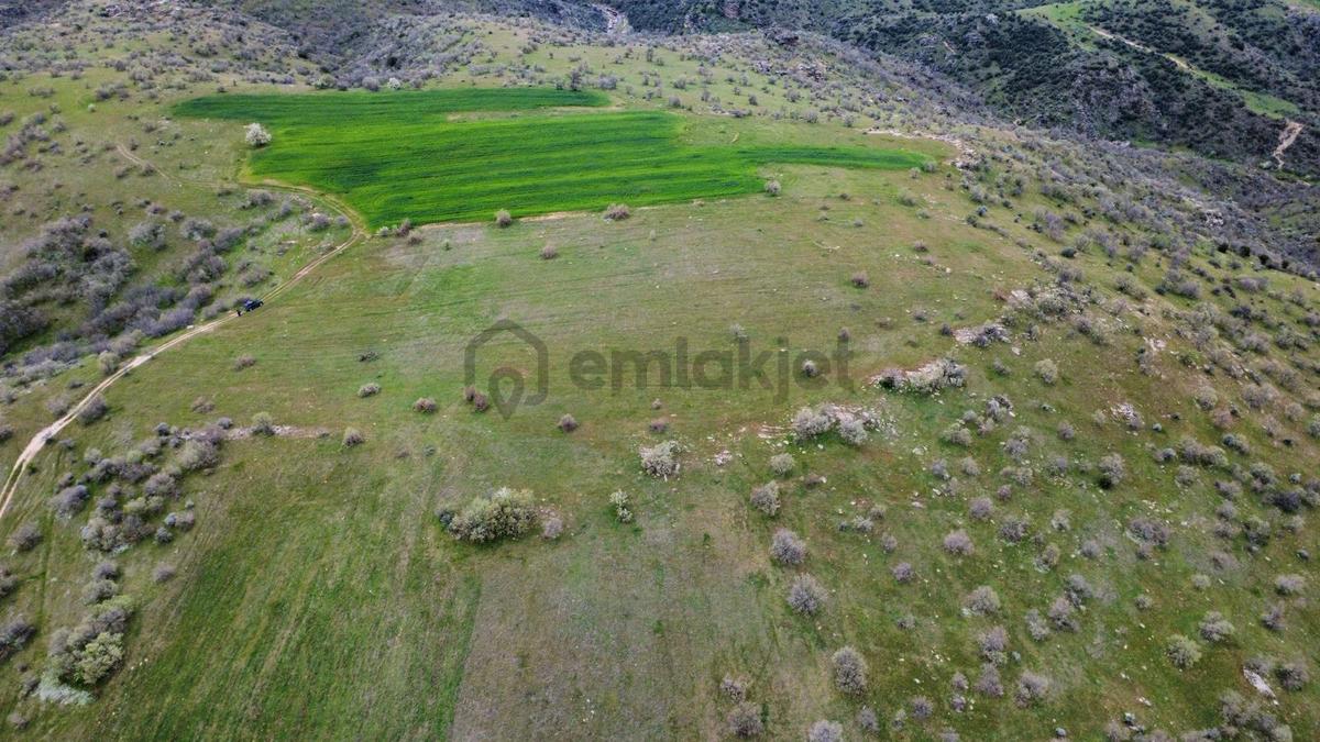 Uşak Eşme Kayalı Köyünde Satılık Tarla - 10