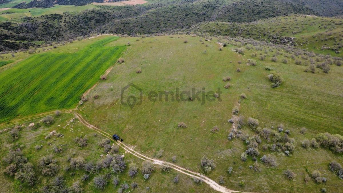 Uşak Eşme Kayalı Köyünde Satılık Tarla - 7